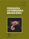 PESQUISA VETERINARIA BRASILEIRA杂志封面